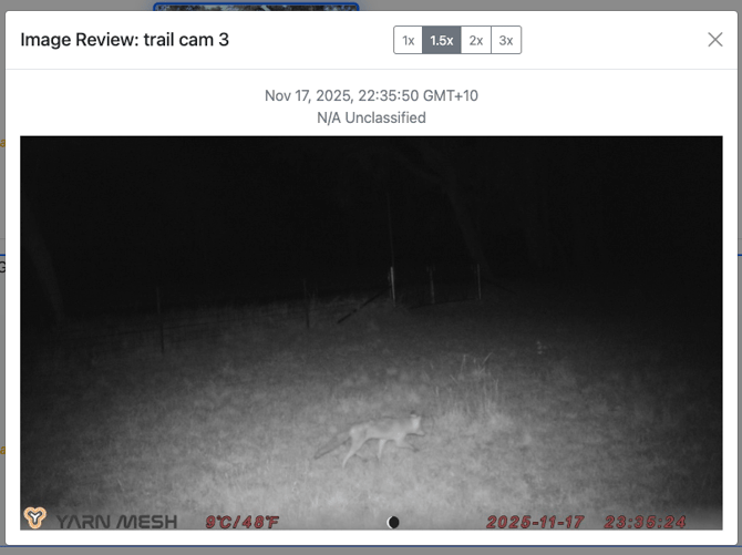 Screenshot 2025-11-19 at 4.53.21 pm